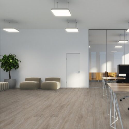 Plant in kantoorruimte op een pvc vloer van Therdex
