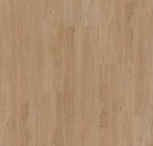 Decor van Therdex 2510
