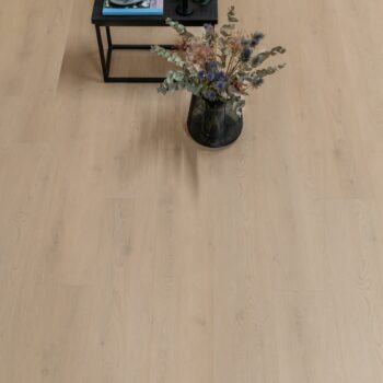 PVC GELASTA STROKEN MET TAFEL EN PLANT