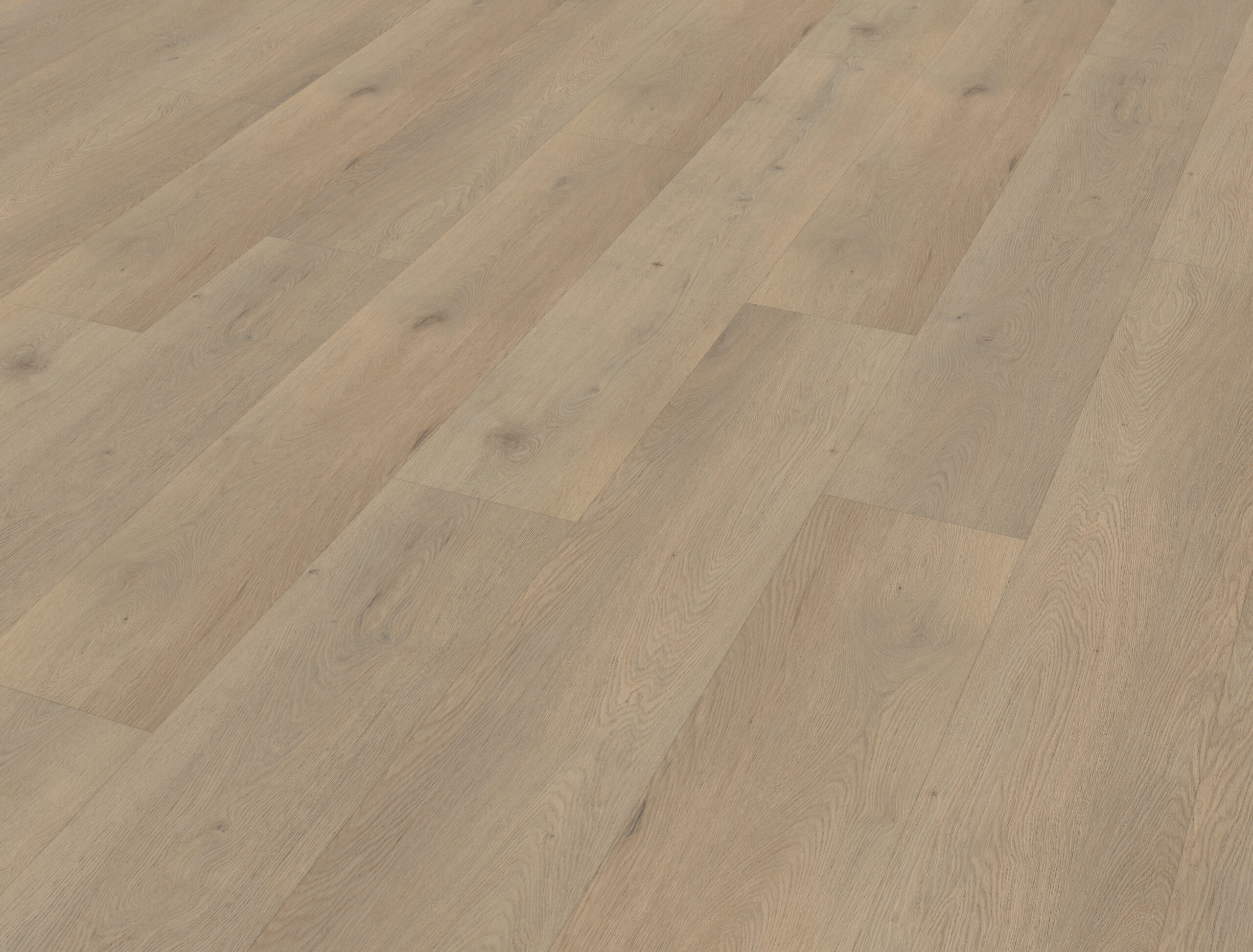 EP 1010 EP 1010 decor