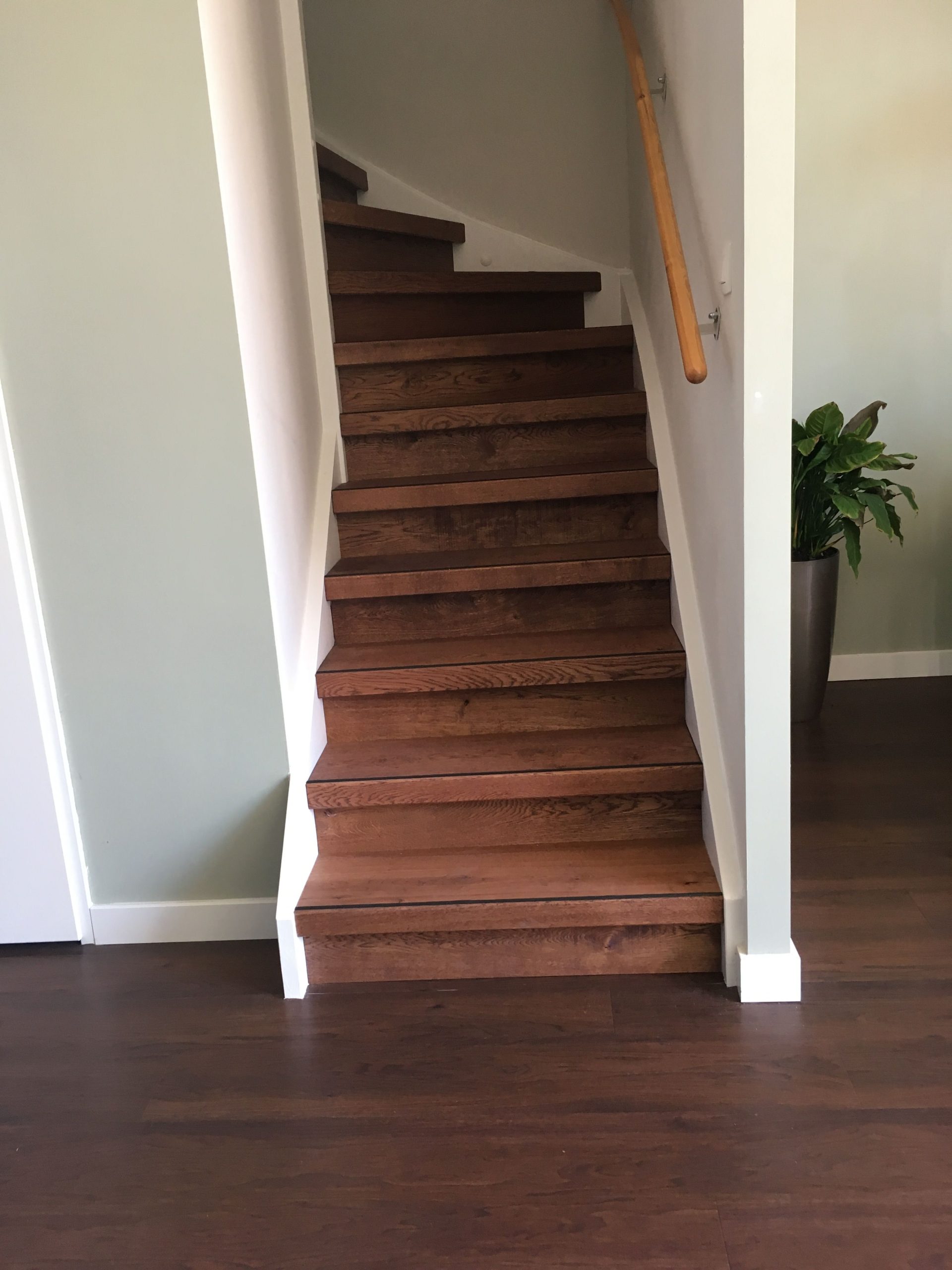 Trap Renovatie Rustiek, Mahogany red geolied